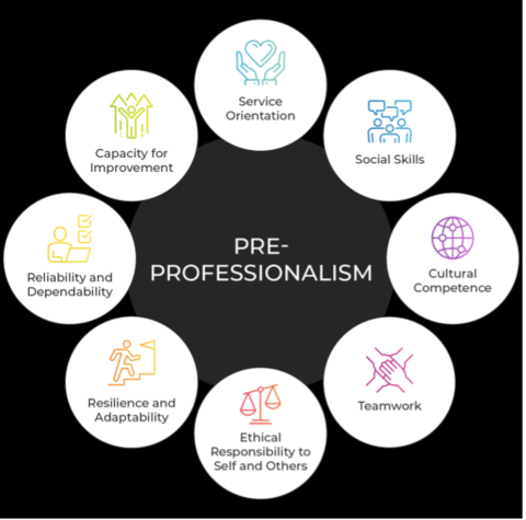 Pre-Professionalism Diagram