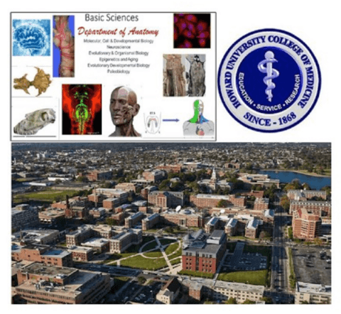 2026 AGP Memorial YouTube Pic